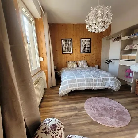Chez Diane , Complet , Parking Gratuit Devant L'immeuble Apartment Colmar