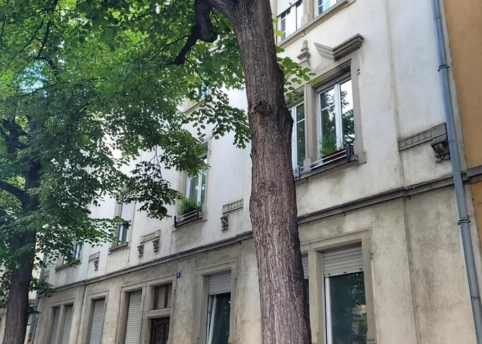 Chez Diane شقة كولمار